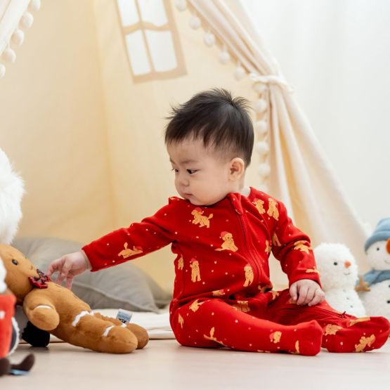 *Bestseller* Baby Welcome Gift  - Santa Baby