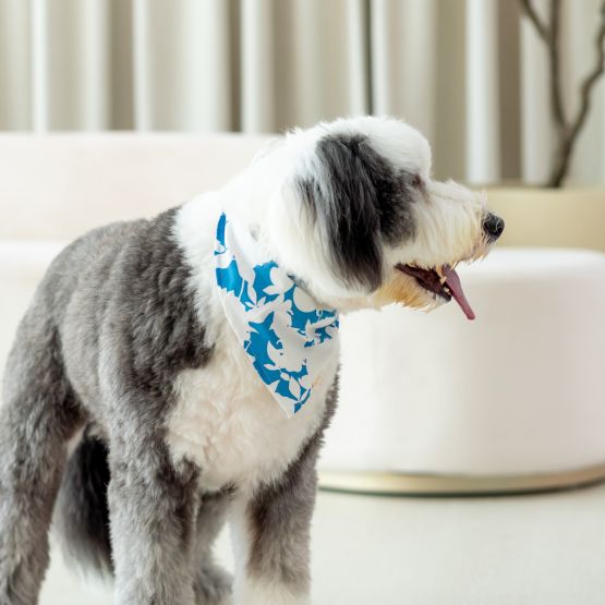 Garden Series - Pet Bandana in Blue Floral (Personalisable)