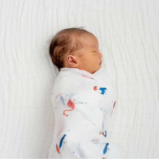 Baby Organic Swaddle - Flamingo & Toucan (Personalisable)