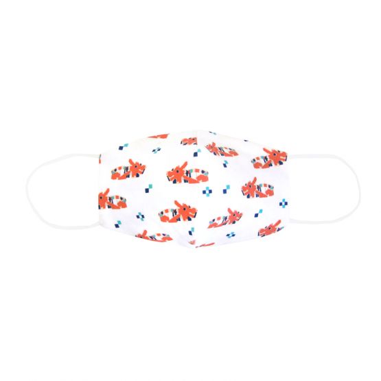 Reusable Kids & Adult Mask in Dragon Playground Print (Personalisable)